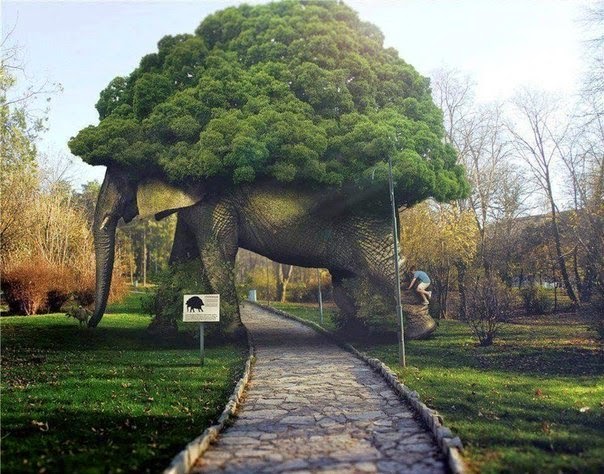 Дерево - шедевр, сад Folly, Великобритания