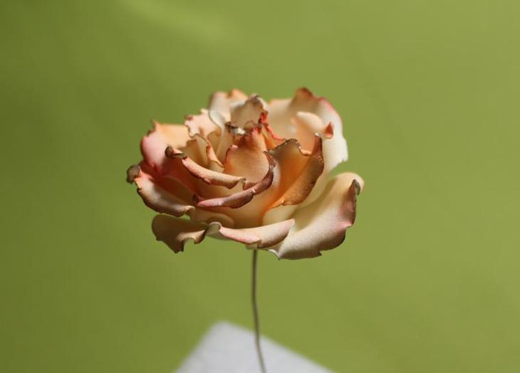 Нежнейшие розы из фоамирана