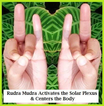 Rudra-mudra-2-41 (440x447, 82Kb)