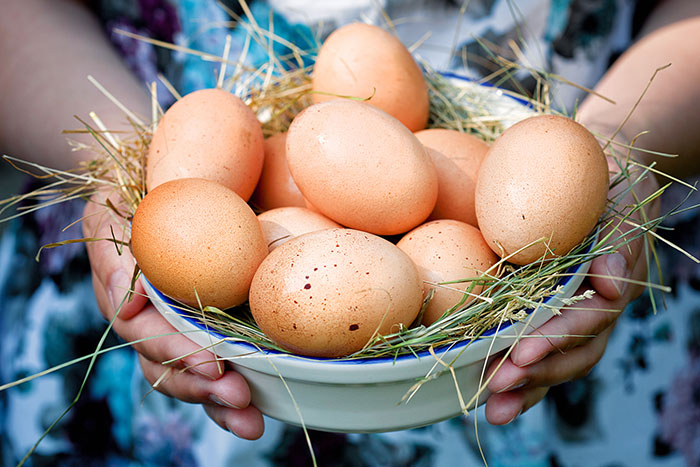 Яйца в меню укрепляют иммунитет