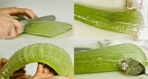 mind-blowing-reasons-aloe-vera-miracle-medicine-plant-will-never-buy-expensive-products