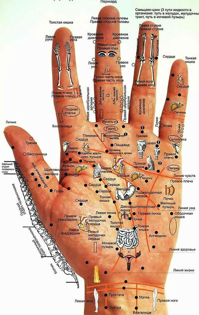 human-disease-displayed-hands
