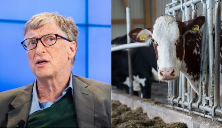 Билл Гейтс призвал богатые страны перейти на искусственную говядину